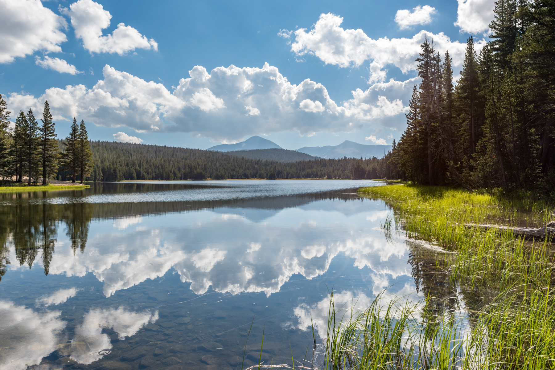 Dog Lake